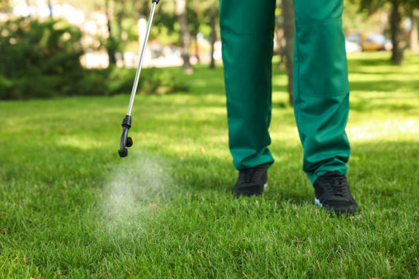 Best Bed Bug Extermination  in Spring Mount, PA