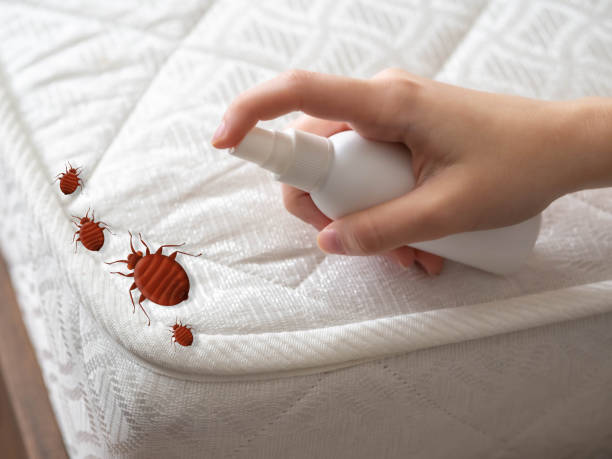 Best Pest Inspection Near Me  in Spring Mount, PA